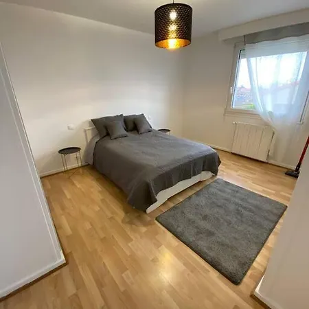 Gentiane Avec Piscine Cebazat