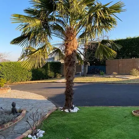 Gentiane Avec Piscine Villa Cébazat